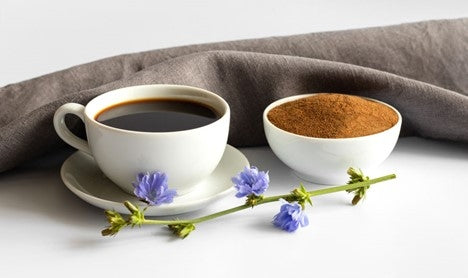 Cup of chicory coffee beside a bowl of ground chicory and blue chicory flowers