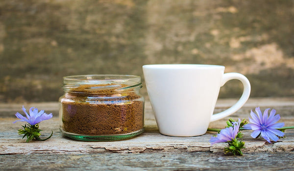Jar of ground chicory beside a white cup and blue chicory flowers